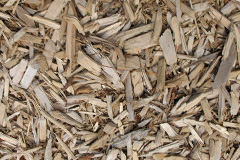 biomass boilers Ladykirk